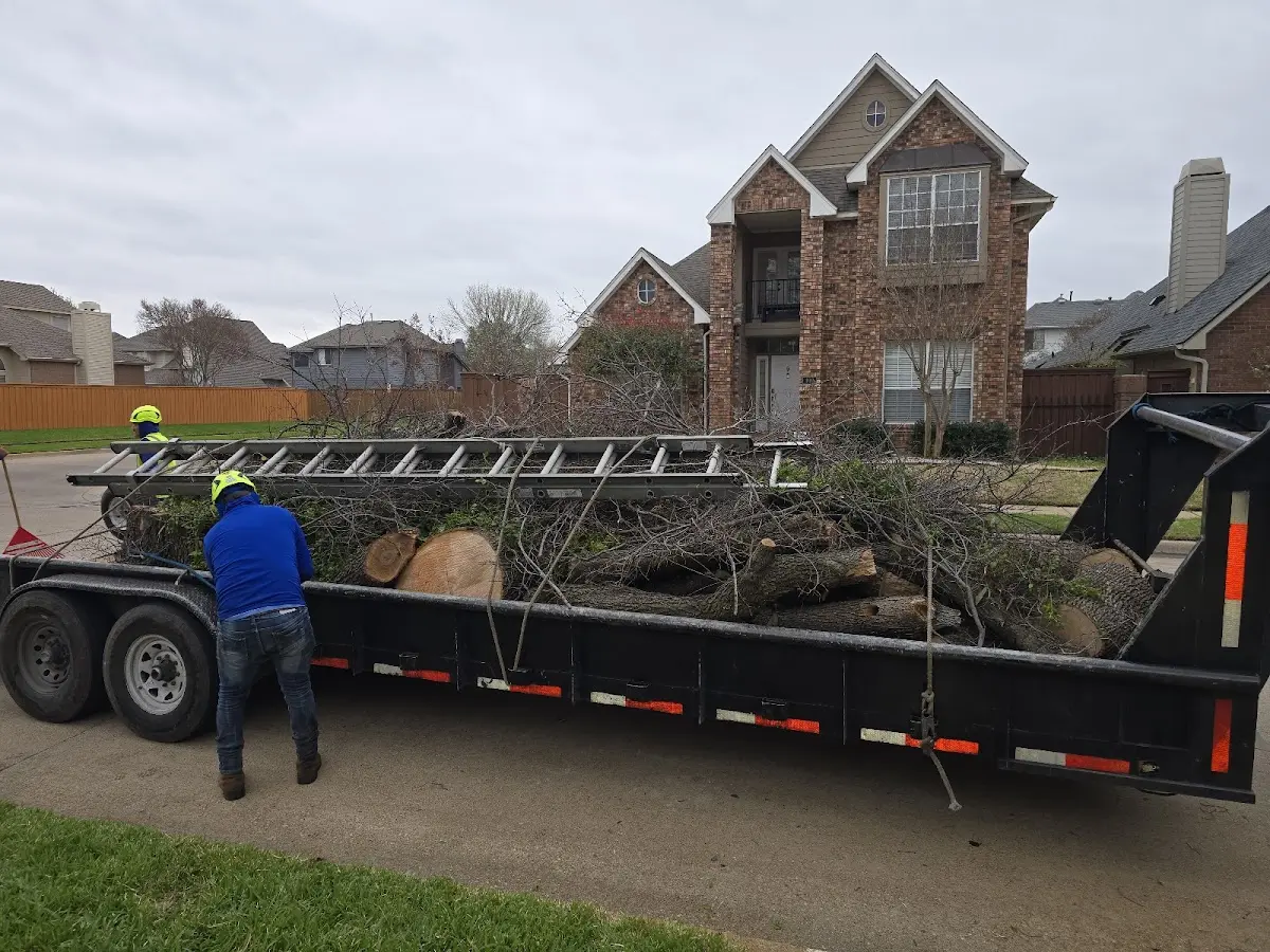 Expert Lot Clearing with proper safety equipment in Ironton